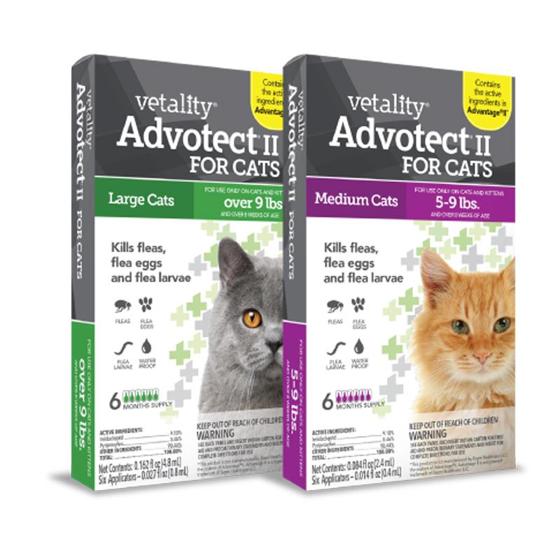 electrolytes for cats petsmart