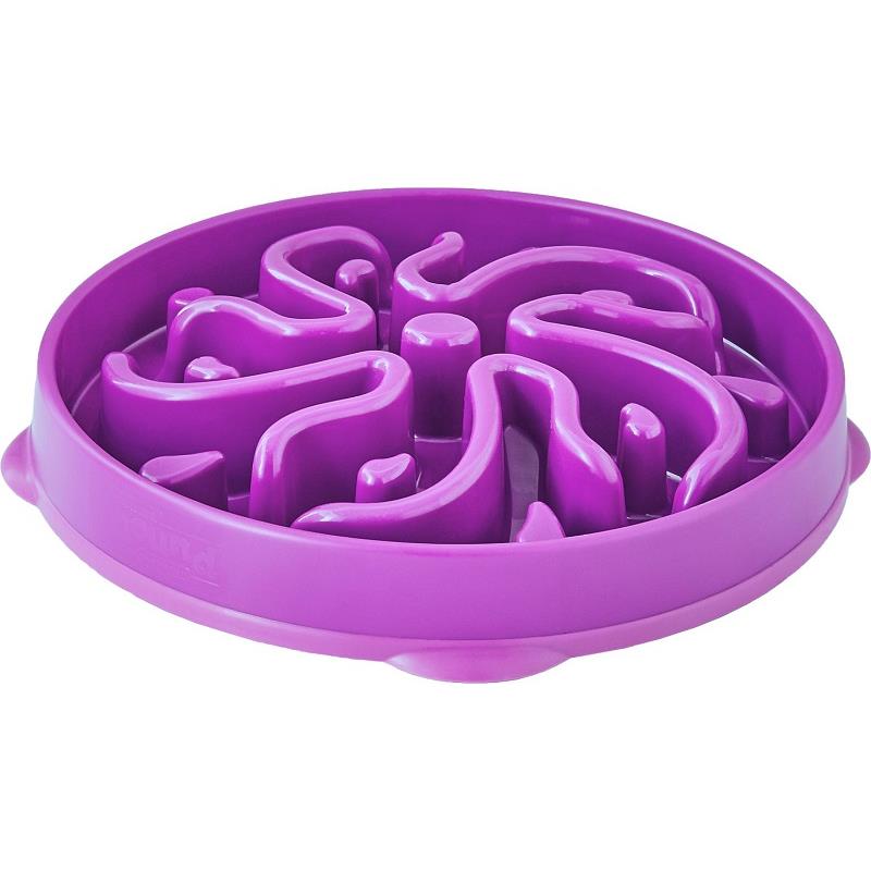 Outward Hound Slo Bowl Slow Feeders Flower Design Purple Dog Bowl Allivet