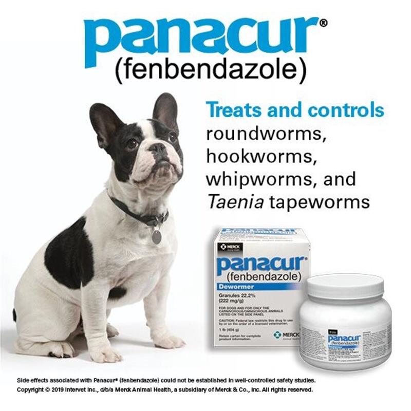 Buy Panacur 22.2 Granules dewormer 1 Lb for dogs and puppies