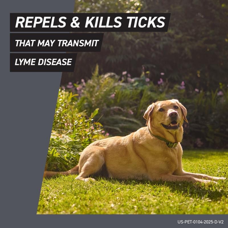 Frontline Shield for Dogs Allivet