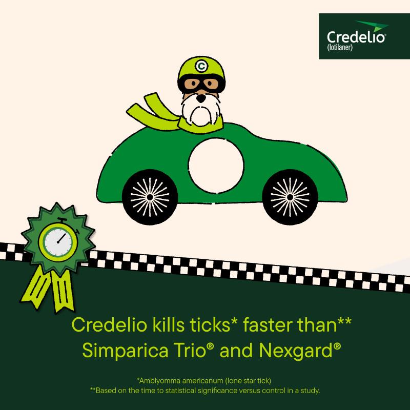 Credelio Flea & Tick Chewable Tablets for Dogs & Puppies Allivet