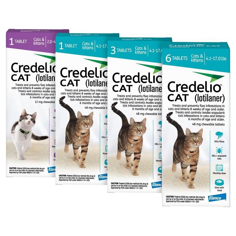 Credelio CAT Flea & Tick Chewable Tablets Allivet