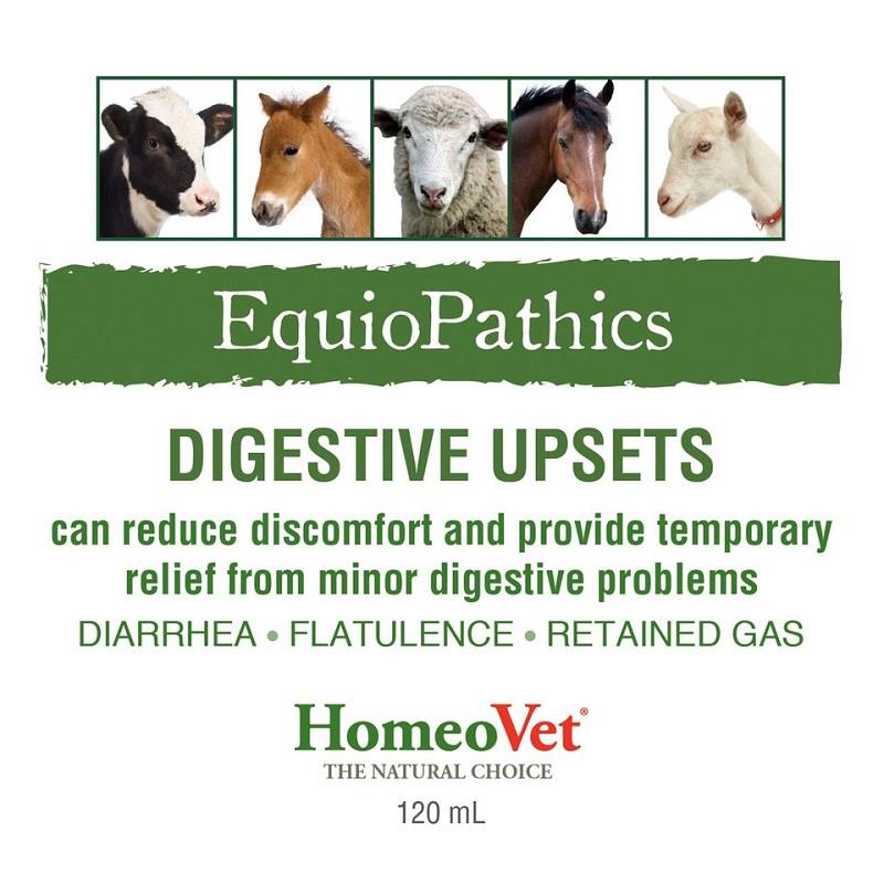 EquioPathics Digestive Upsets for Horses Equine supplement Allivet
