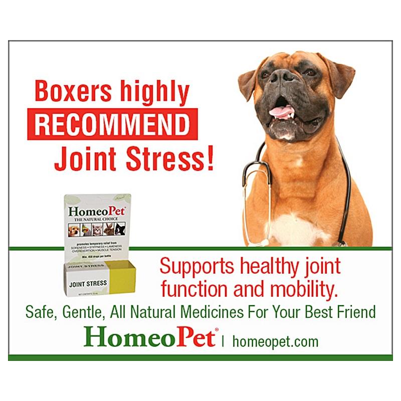 Buy Homeopet Anxiety Pills for Dogs Pet Supplies