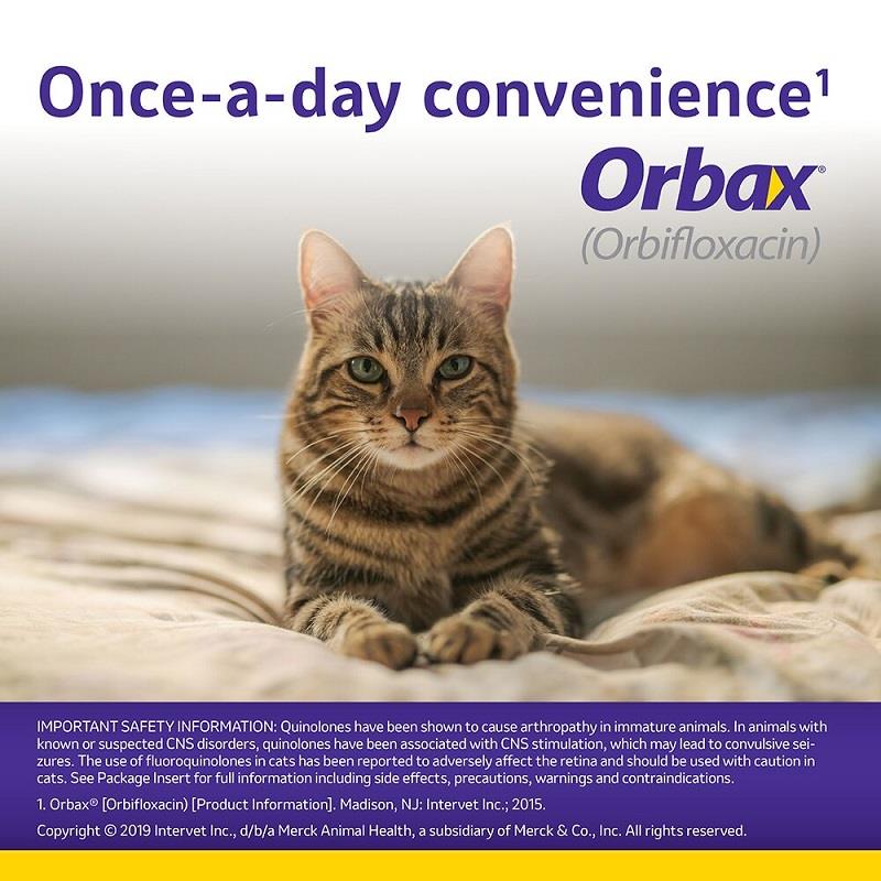 Order Online Orbax Tablet for Dogs and Cats