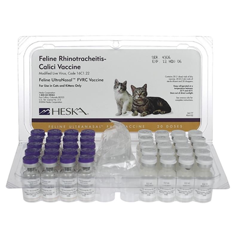 feline bordetella vaccine