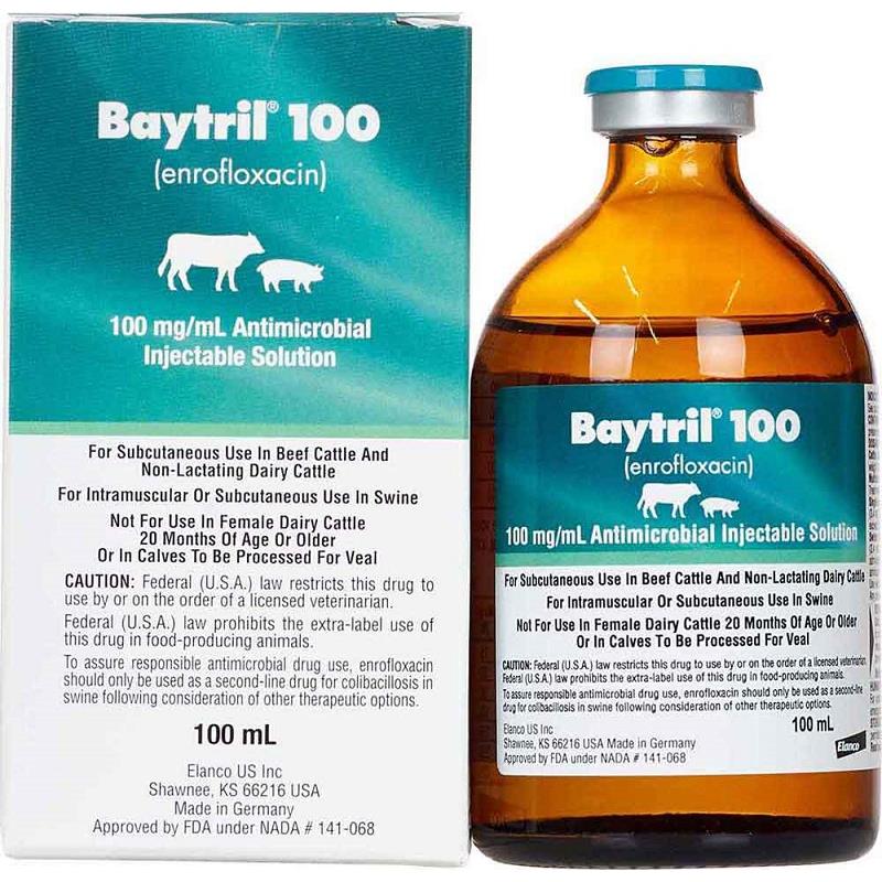 Baytril 100 (Enroflaxin) Injectable