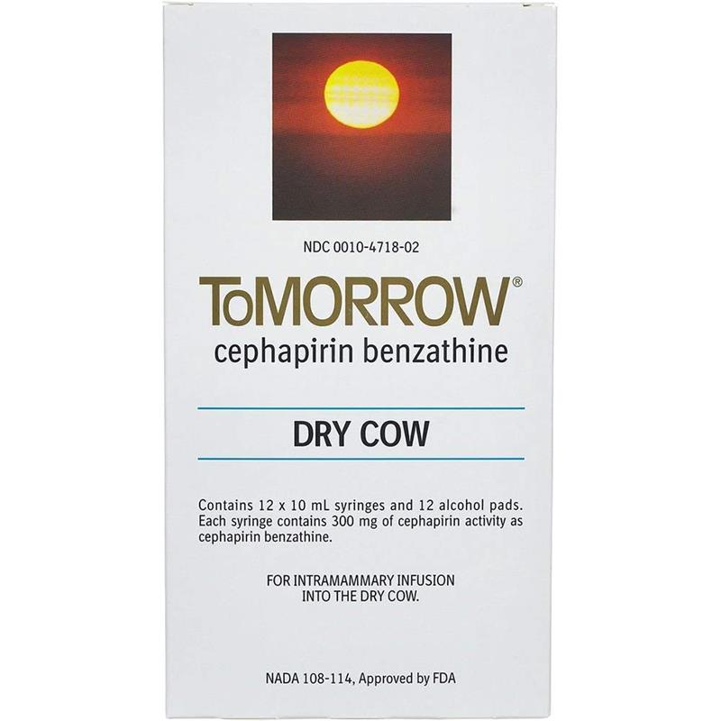 ToMorrow