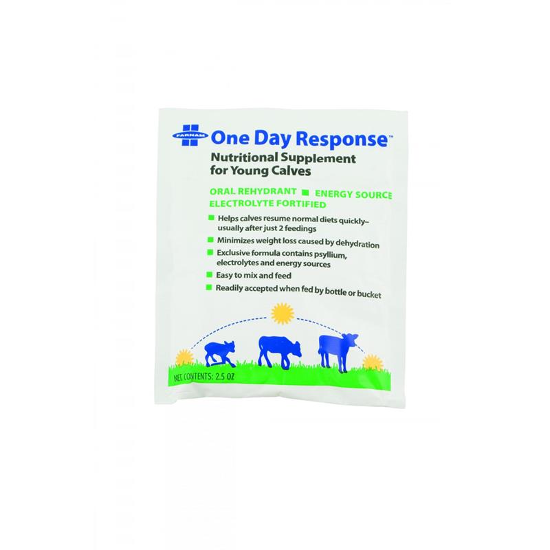 One Day Response