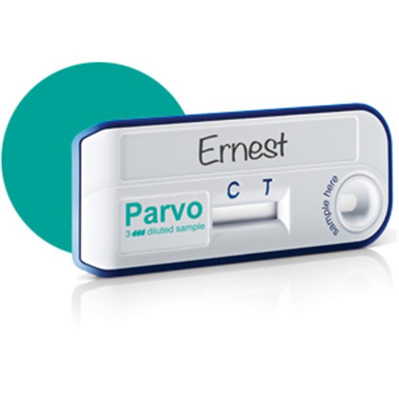 canine parvovirus test