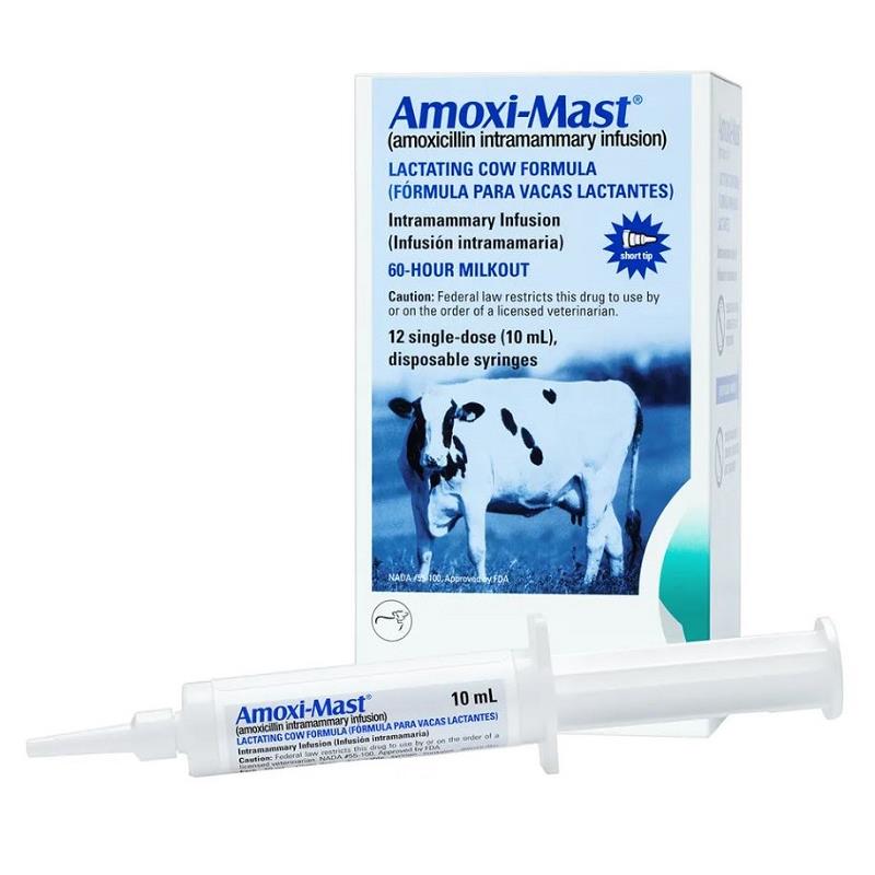 AmoxiMast 12 Tubes