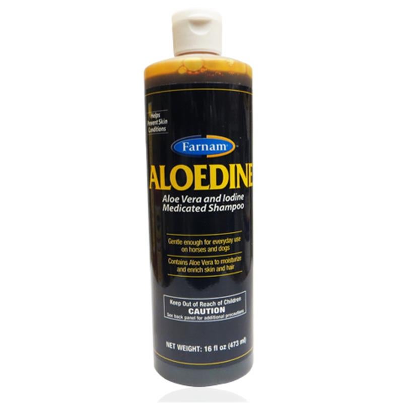 Aloedine Shampoo 16 oz