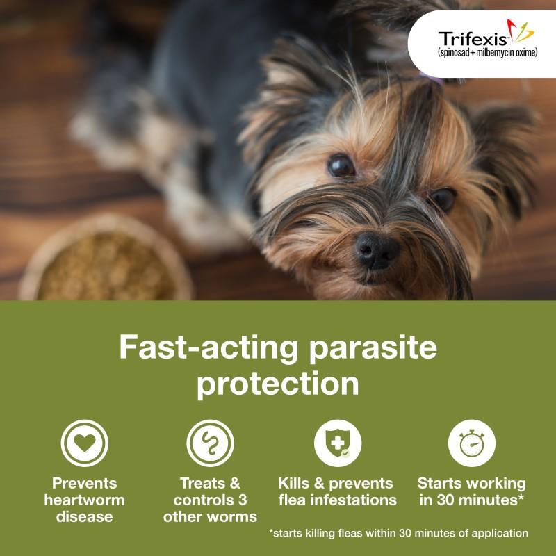 buy trifexis at costco