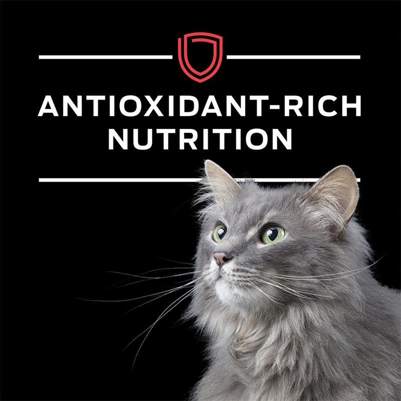 Purina Pro Plan Veterinary Diets DM Dietetic Management ...