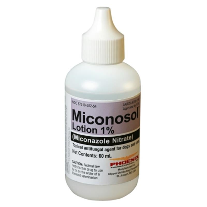 oral ear infection medication for dogs