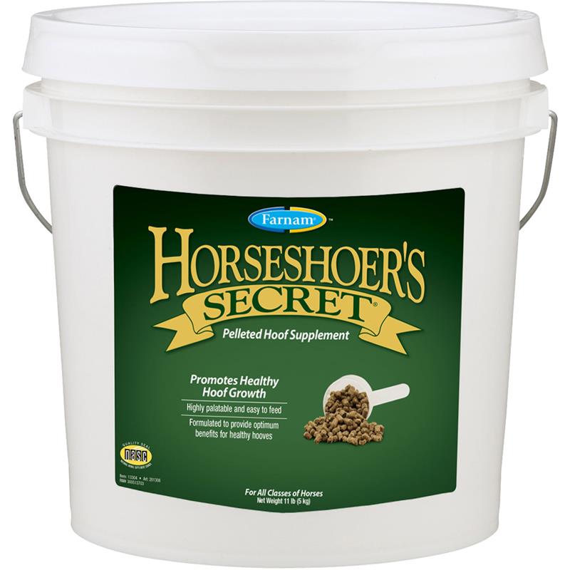 Horseshoer\\'s Secret