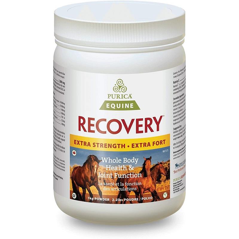 Recovery EQ Extra Strength