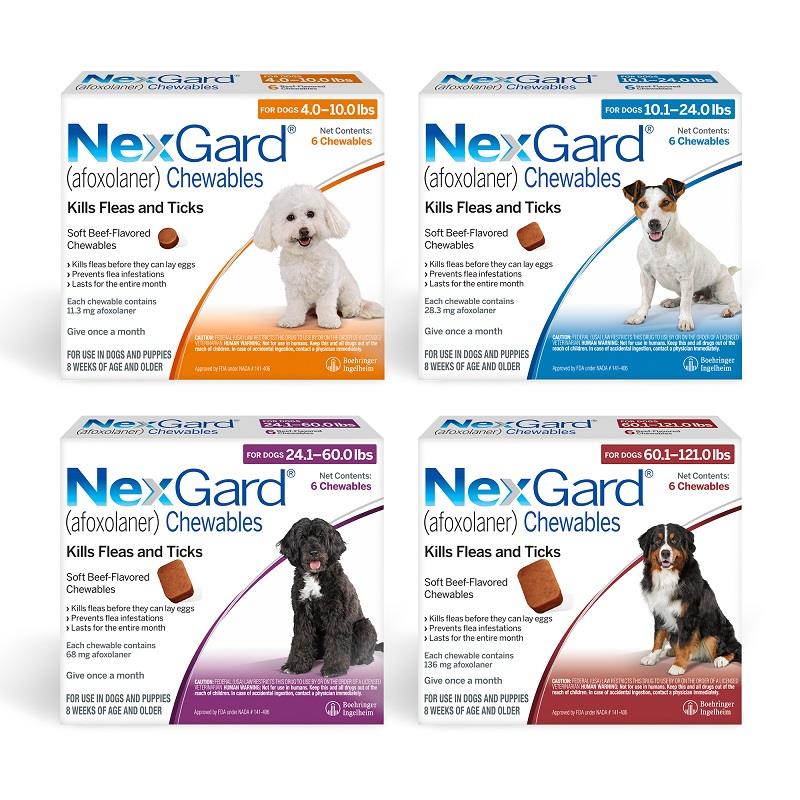 Nexgard Chewables for Dogs at Allivet 