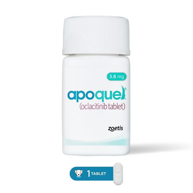 Lowest Price on Apoquel for Dogs | Free 