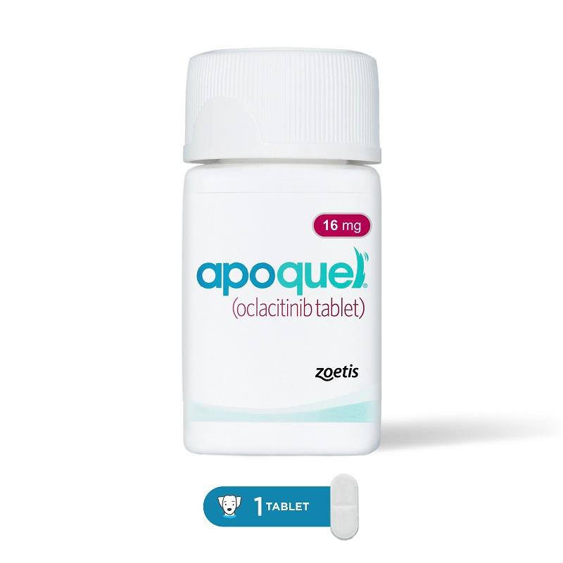 buy apoquel for dogs