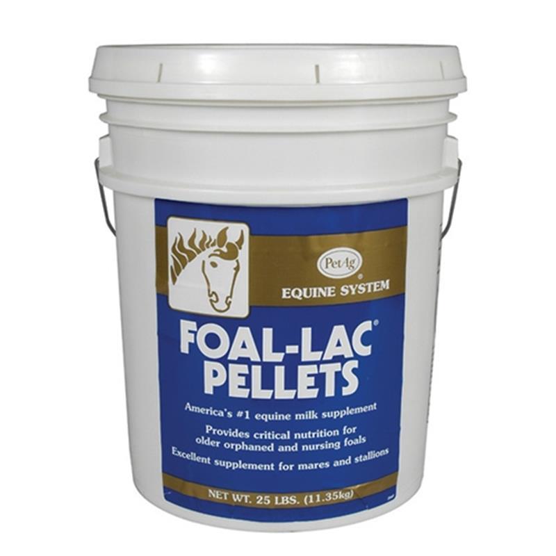 Foal Lac
