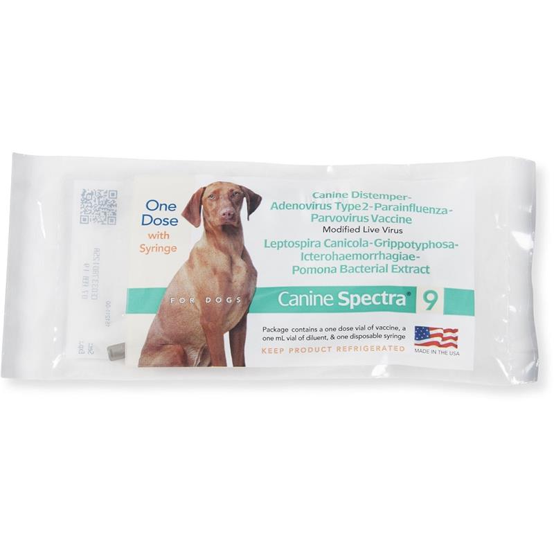 Canine Spectra 9, Single Syringe