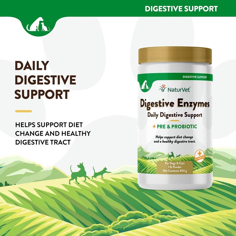 NaturVet Digestive Enzymes Powder Allivet