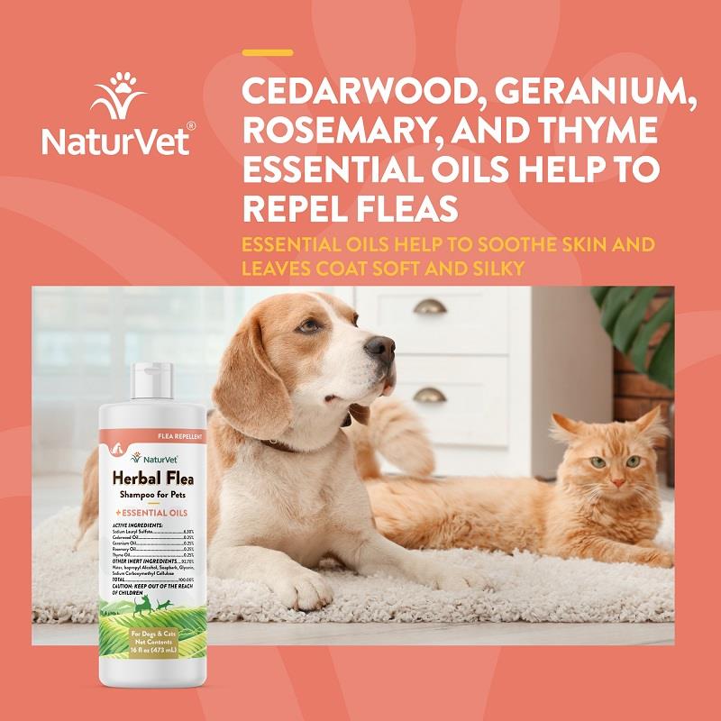 NaturVet Herbal Flea Shampoo, 16 oz Allivet