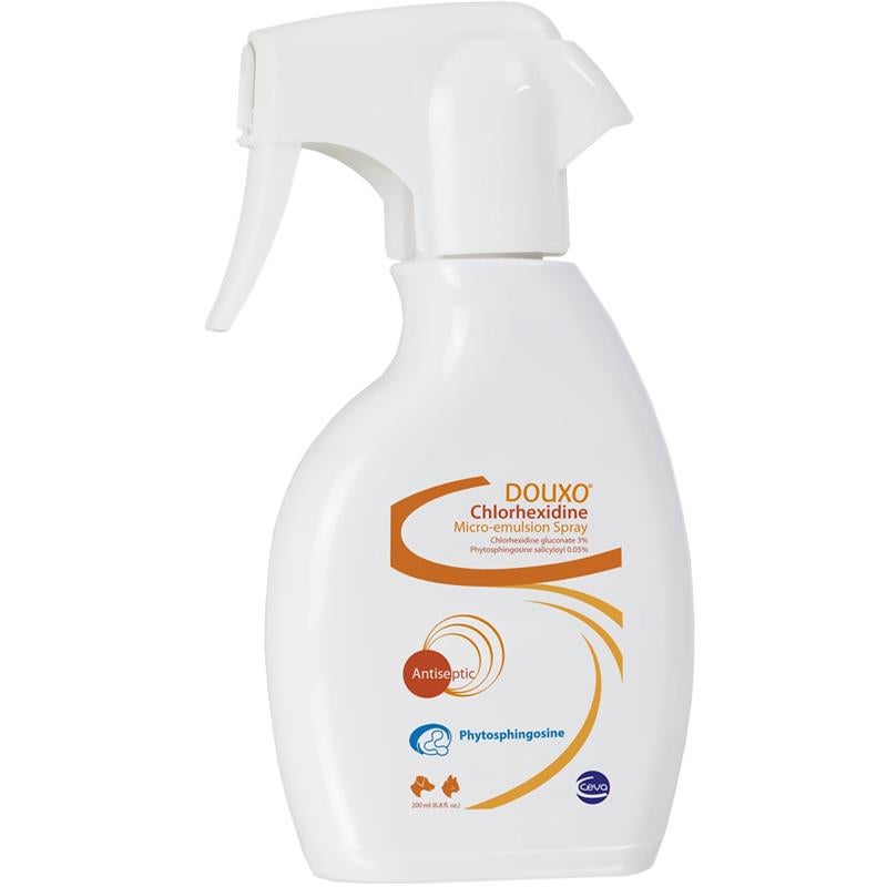 chlorhexidine pads for dogs