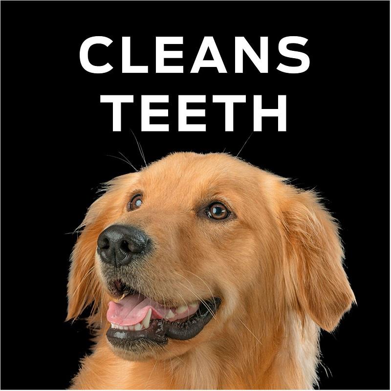 purina pro plan dental chewz