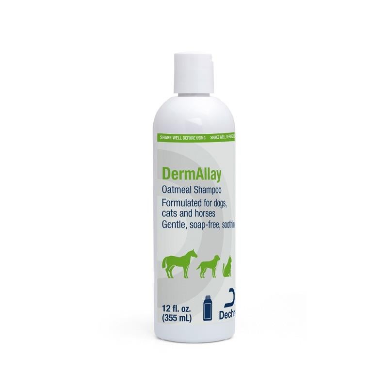 dermallay shampoo