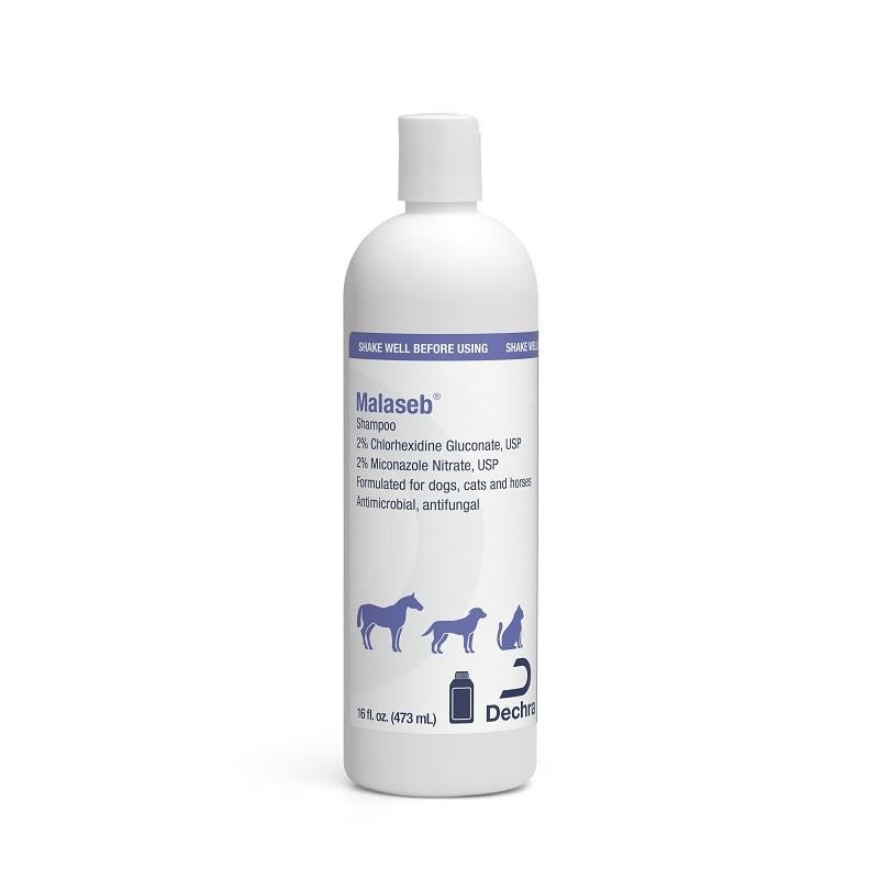 malaseb shampoo for horses