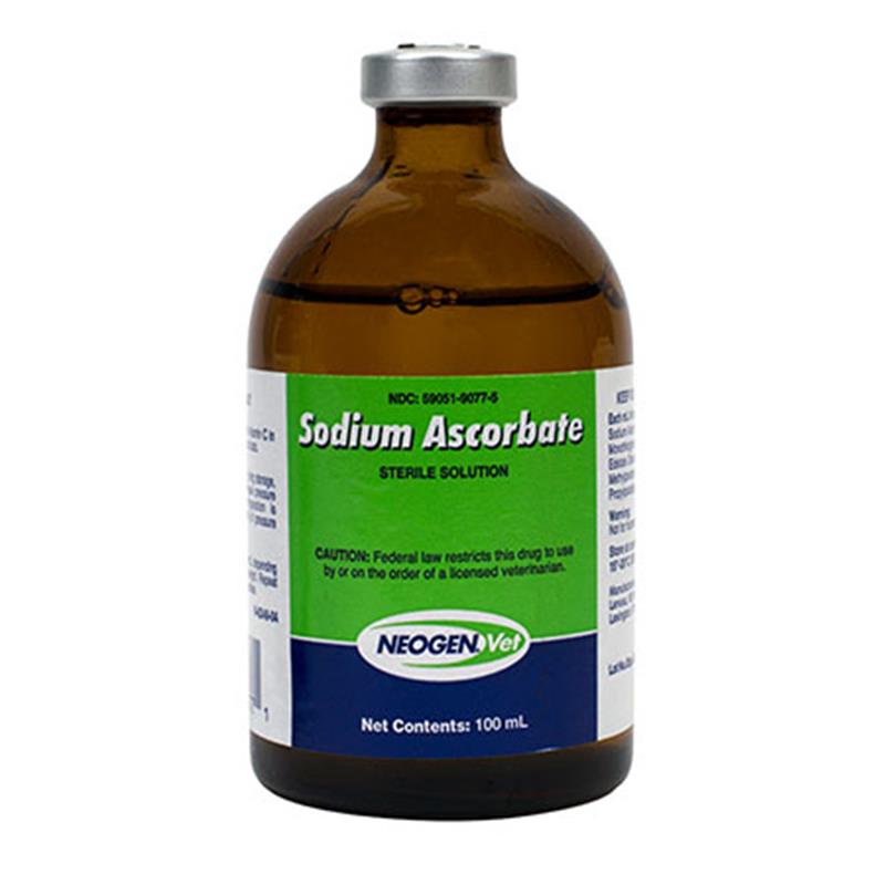 Best Dog Vitamin And Electrolyte Supplements For Dogs