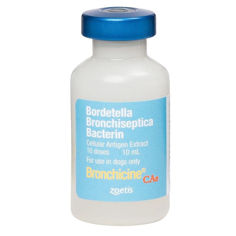 nasal bordetella