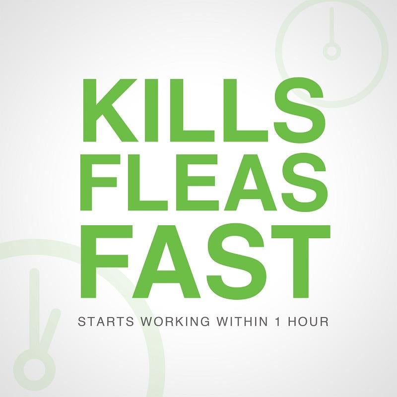 Advantus Oral Flea Treatment Soft Chews for Dogs Allivet