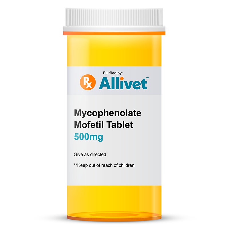 Mycophenolate Mofetil 500 mg Tablet