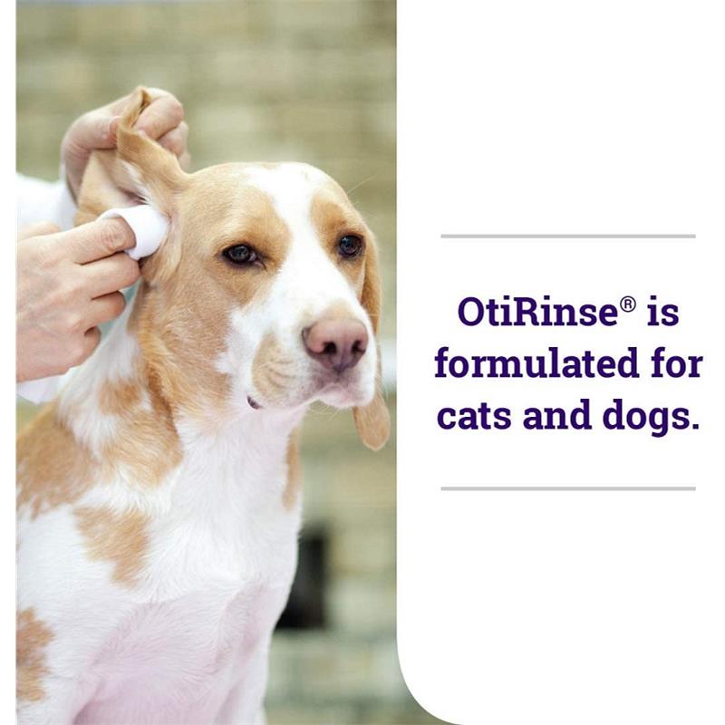 Get Ear Drying Solution for Dogs and Cats at Affordable Price