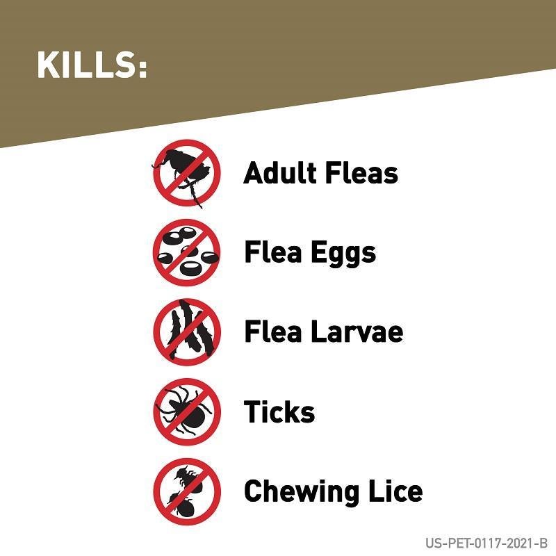 frontline gold flea tick