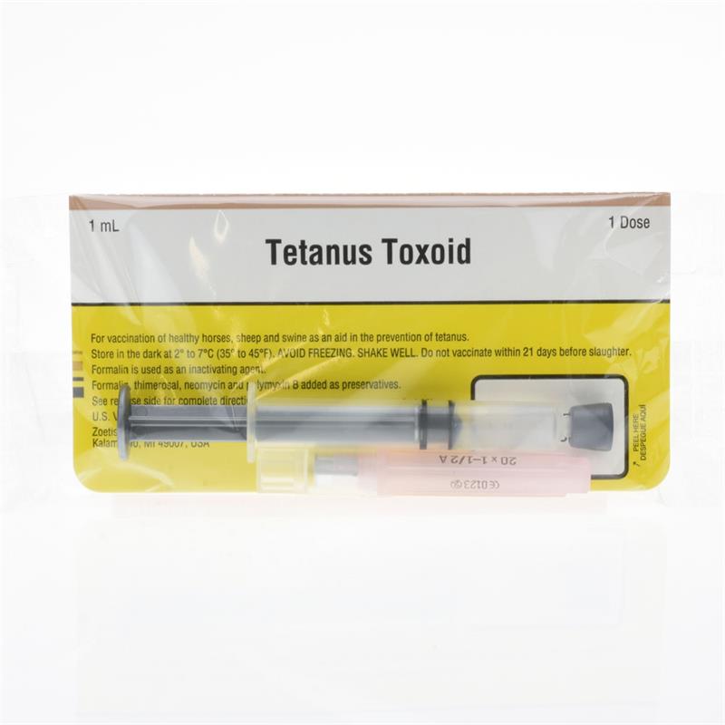 Tetanus Toxoid
