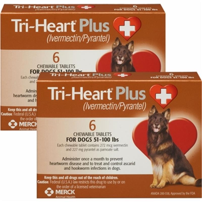 tri-heart-plus-chewable-tablets-for-dogs-free-shipping-allivet