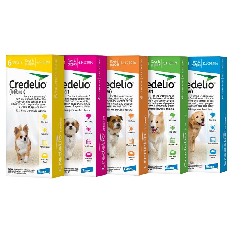 oral medication for fleas and ticks for dogs