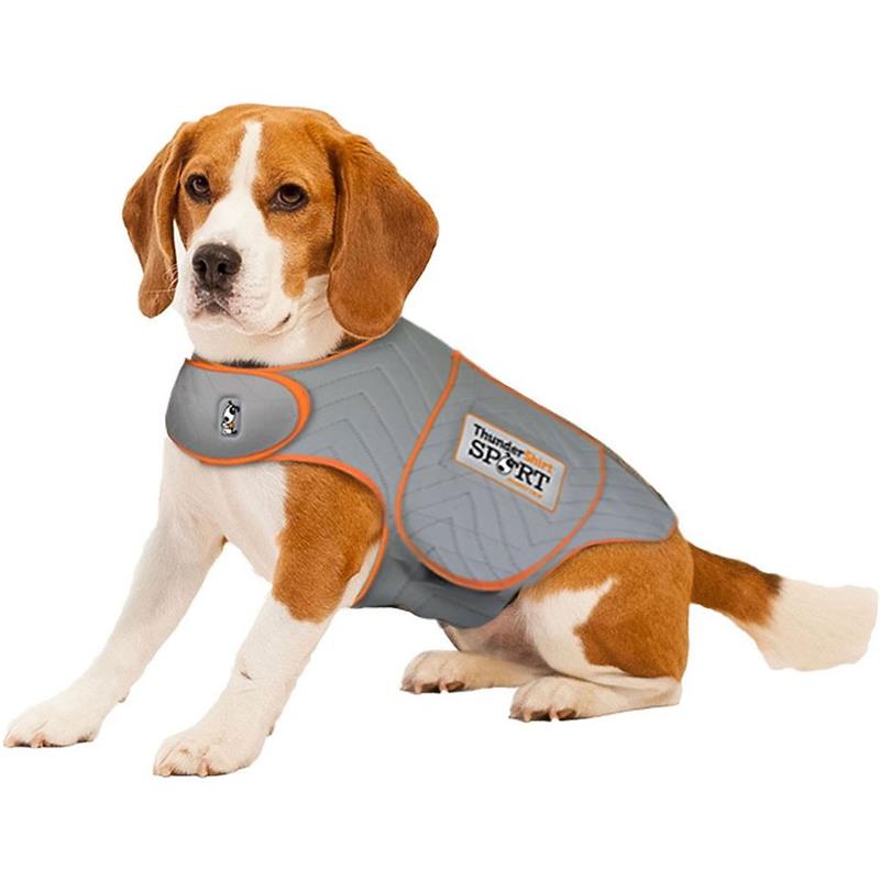 kong thundershirt