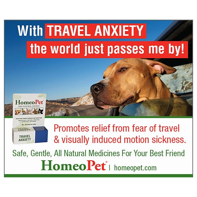 best travel anxiety medication for dogs