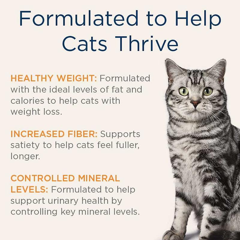 Blue Buffalo Natural Veterinary Diet W+U Weight Management + Urinary Care Cat Food (24 x 5.5 oz