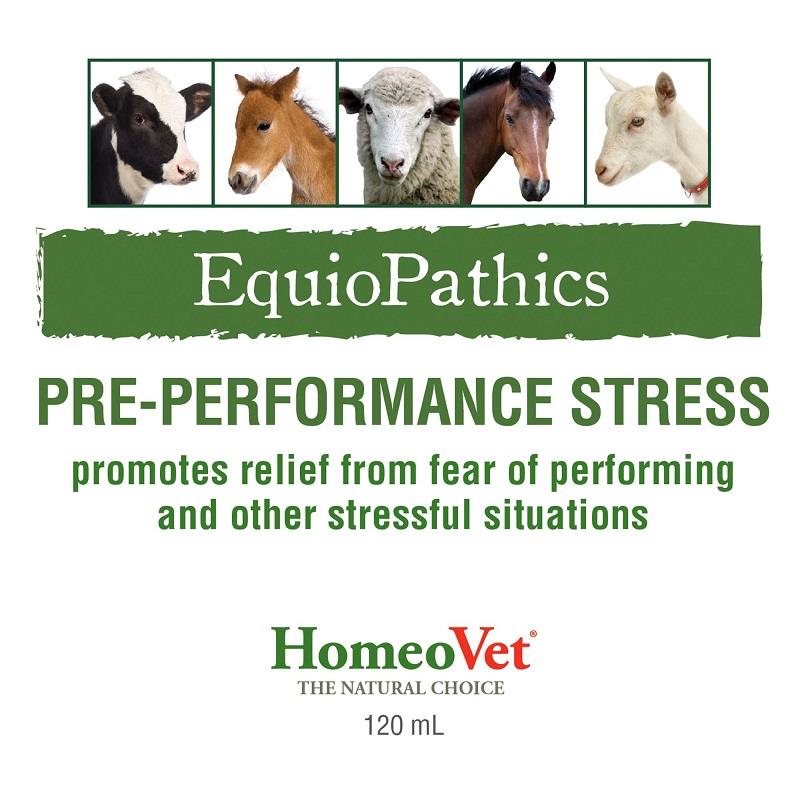 PrePerformance Stress Horse Calming & Stress Allivet