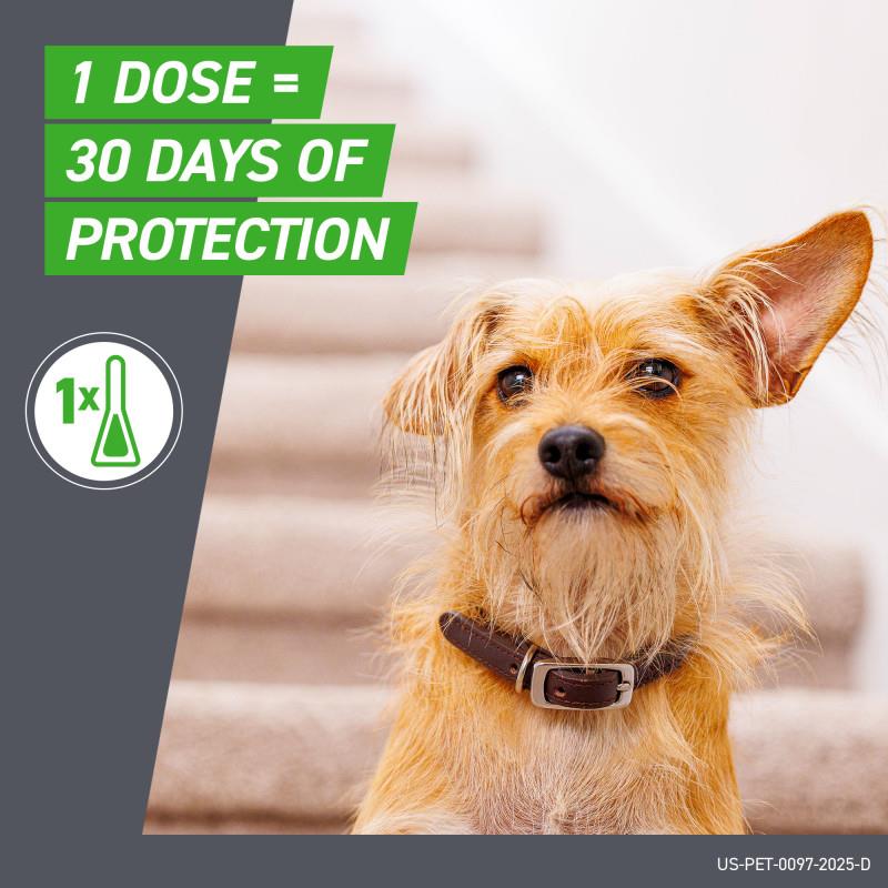 is frontline plus any good