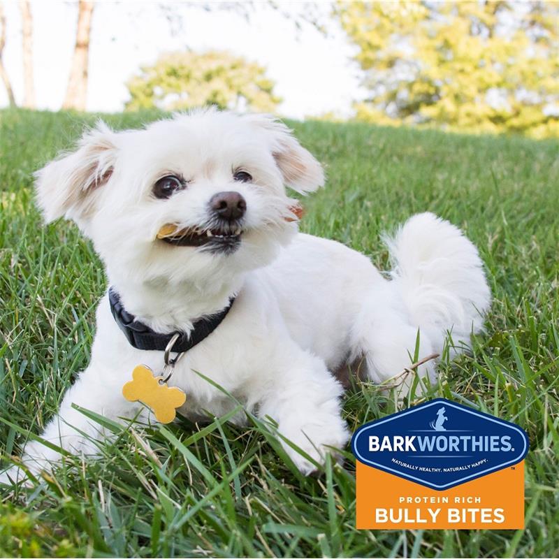 barkworthies bully stick bites