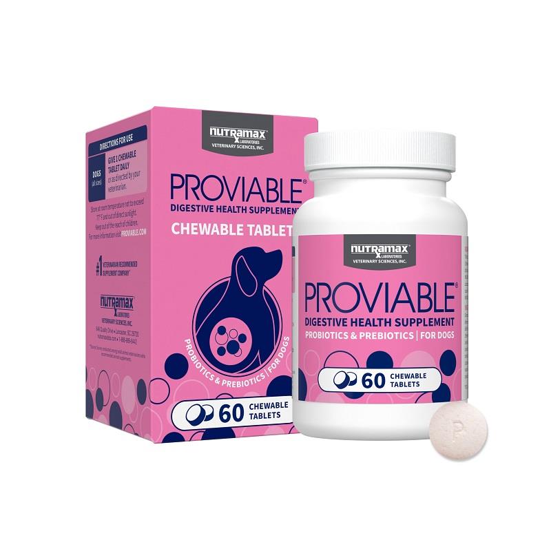 ProviableDC Digestive Health Supplement for Dogs, 60 Chewable Tablets
