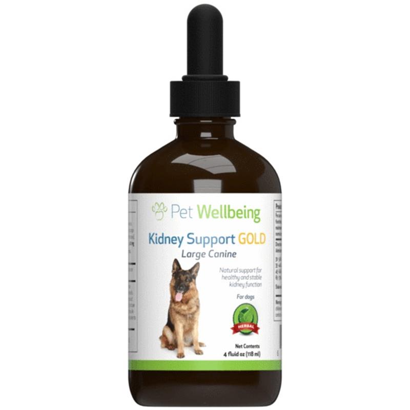 Pet Wellbeing Kidney Support Gold for Dogs and Cats | Allivet