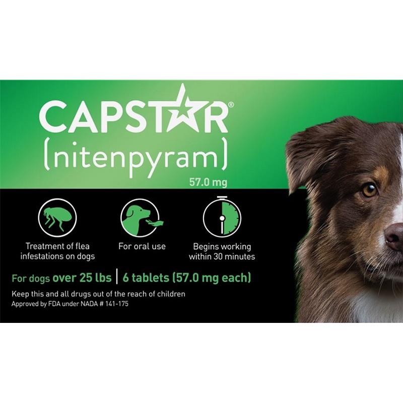 Buy Elanco Capstar Flea Tablets for Dogs & Cats Allivet